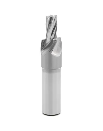 Step end mill